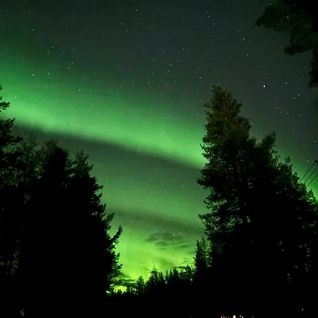 Kekkonen 2 *