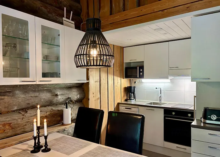 Daire Kekkonen 2 Levi