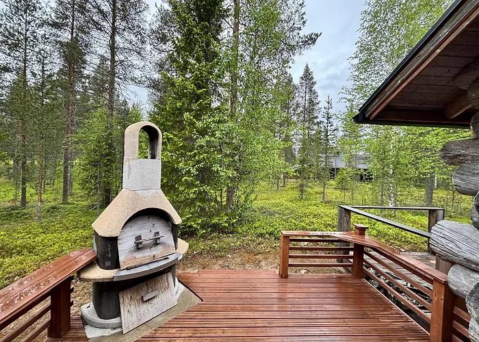 Kekkonen 2 Daire Levi