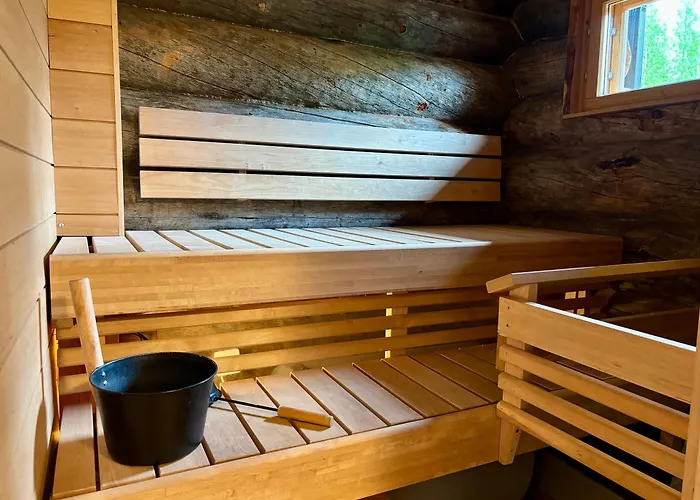 Daire Kekkonen 2 Levi